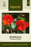 Buskkrasse Princess Of India Lågväxande, mörkgröna blad, blommor i orange/rött