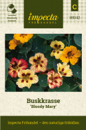  Buskkrasse ''''''''Bloody Mary''