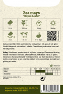 Prydnadsmajs Striped-Leafed Dekorativt randiga blad i rött, gult, vitt och grönt