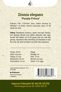 Zinnia Purple Prince fröpåse baksida Impecta