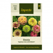 Zinnia 'Queeny Lime with Blotch'