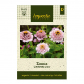 Zinnia 'Zinderella Lilac'