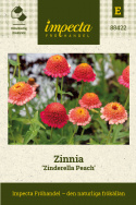 Zinnia 'Zinderella Peach', Lång och hållbar blom, ypperlig för rabatt och snittblomsodling.
