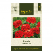 Zinnia 'Zinderella Red'