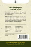 Zinnia ''''''''Zinderella Purple''''''''