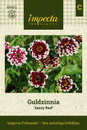 Guldzinnia ''''''''Jazzy Red''''''''