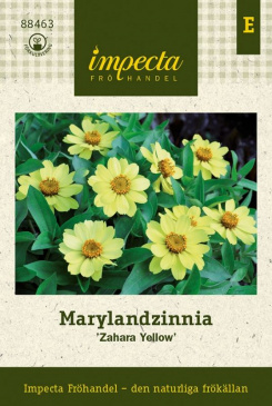 Marylandzinnia Zahara Yellow fröpåse Impecta
