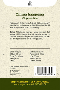 Guldzinnia Chippendale fröpåse baksida Impecta