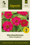 Marylandzinnia Zahara Raspberry - körsbärsröda till hallonrosa, enkla blommor