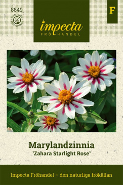 Marylandzinnia 'Zahara Starlight Rose' fröpåse Impecta