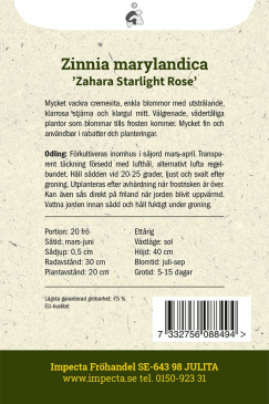 Marylandzinnia 'Zahara Starlight Rose' fröpåse baksida Impecta