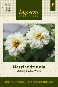 Marylandzinnia 'Zahara Double White' fröpåse Impecta
