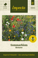 Sommarblom 'Biväxter' blandning av blommor som främjar pollinering