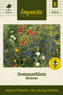 Sommarblom 'Biväxter' blandning av blommor som främjar pollinering