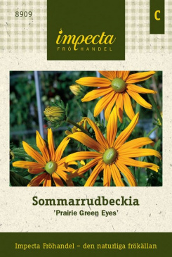 Sommarrudbeckia 'Prairie Green Eyes' Impecta fröpåse