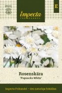 Rosenskära ''Popsocks White'', Snövita, enkla till dubbla blommor med gul mitt.
