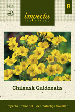Chilensk Guldoxalis, fröpåse Impecta