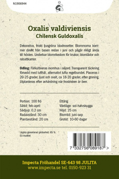 Chilensk Guldoxalis, fröpåse baksida Impecta