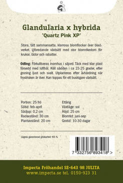 Trädgårdsverbena 'Quartz XP Pink'