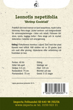 Sommarlejonöra Shrimp Cocktail fröpåse baksida Impecta