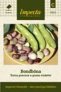 Bondböna 'Extra precoce a grano violetto', medelstora, rödtonade bönor.
