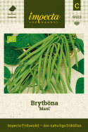 Brytböna 'Maxi', Gröna baljor, fritt över bladverket. Tidig och högavkastande.