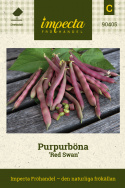 Purpurböna 'Red Swan', rödtonade, plattrunda, lite tjockare, trådfria baljor.