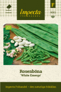 Rosenböna 'White Emergo', Gröna baljor med cremevita smörbönor.