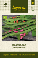 Rosenböna ''Prizegewinner'', Rödblommande med mycket långa, välfyllda baljor.