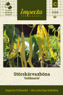 Störskärvaxböna 'Goldmarie', Hög skärvaxböna, gula, plattrunda, trådfria baljor.