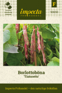 Borlottoböna 'Tontoretto', rödmarmorerade med rödspräckliga, cremevita bönor..