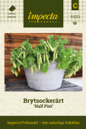 Brytsockerärt 'Half Pint', Snabbväxande, låg salladsärt. Söta, saftiga baljor.