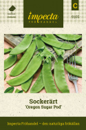 Sockerärt 'Oregon Sugar Pod', Odlingsvärd sort som ger saftiga, goda baljor.