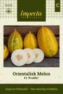 Orientalisk Melon F1 'Prolific' avlång melon med ljusgult fruktkött