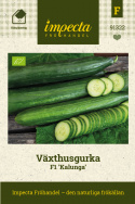 Växthusgurka F1 'Kalunga', Tidig, produktiv och starkväxande för växthus i hela landet.