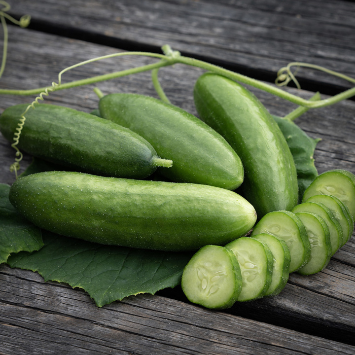 Slanggurka 'Beit Alpha', Salladsgurka, mörkgrön, saftig och krispig sort.