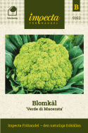 Blomkål 'Yellow Green Macerata', ljust gulgröna, medelstora huvuden.