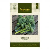 Broccoli F1 'Hirzia'