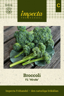 Broccoli F1 'Hirzia' fröpåse Impecta