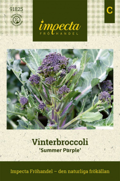 Vinterbroccoli 'Summer Purple' Impecta fröpåse