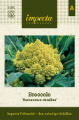 Broccolo 'Romanesco Nataliono' Impecta fröpåse