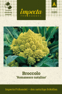 Broccolo 'Romanesco Nataliono', Dekorativa, gulgröna, huvuden i konisk formation