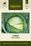 Vitkål 'Brunswick', Stora, täta, ljust gröna, plattrunda huvuden.