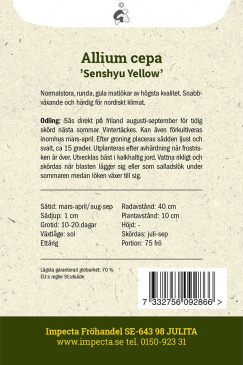 Vinterlök 'Senshyu Yellow' Impecta odlingsanvisning