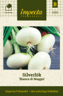Silverlök 'Bianca di Maggio', Släta, vita, helt plattrunda, något mindre lökar.