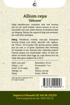 Schalottenlök 'Zébrune' Impecta odlingsanvisning