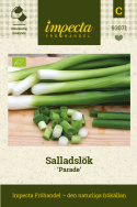 Salladslök ''Parade'', mild, fin smak. Friskt, grönt bladverk med vit bas.