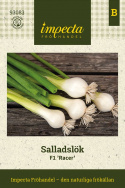 Salladslök F1 'Racer', Mjäll och krispig med mild smak, hela växten används färsk eller tillagad.