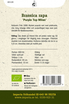 Majrova 'Purple Top Milan'