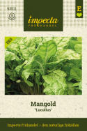 Mangold 